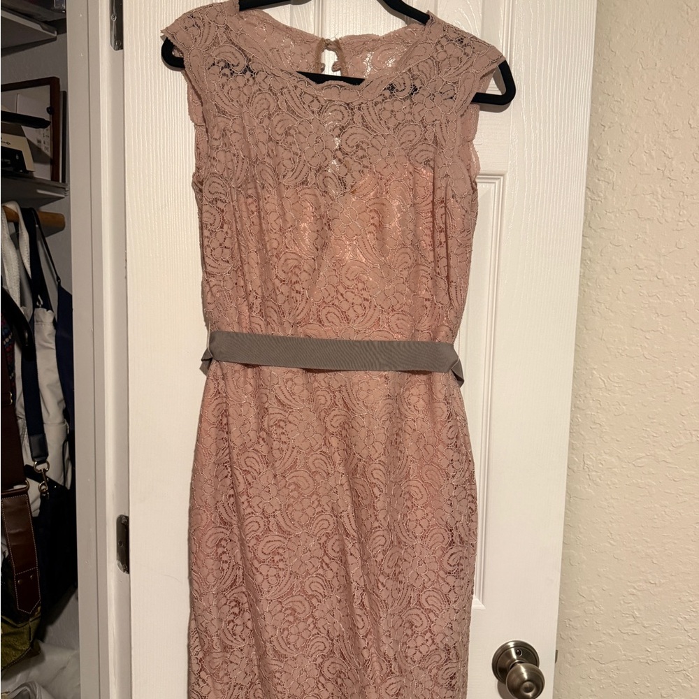 Chic Lace Midi Dress in Blush Pink